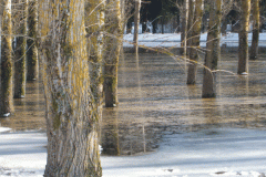 21.03.2009 - Il lago Laceno6