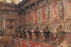 collegiata6