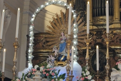 immacolataj