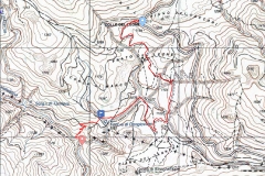 tannera
