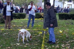 G_concorso04