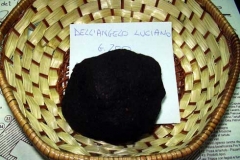 G_premiazione02