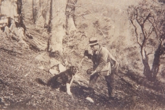 27.12.1959 - Ricerca del tartufo
