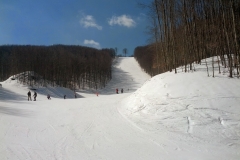 IMG_20140316_111528