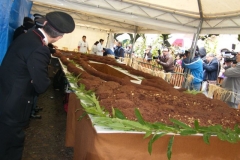 Mostra mercato del tartufo nero di Bagnoli - Sagra della Castagna 2