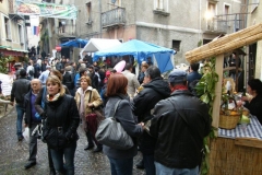 Mostra mercato del tartufo nero di Bagnoli - Sagra della Castagna 9