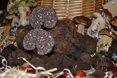 tartufo-1