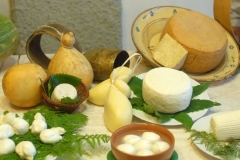 ricottaart