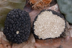 Tartufi, castagne, formaggio, funghi 3
